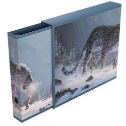 Ultimate Guard Album´n´Case...