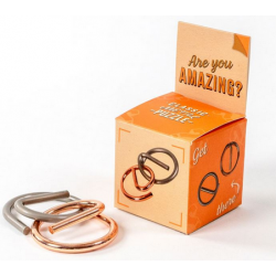 Classic Metal Puzzle - Are...