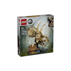 76969 - Fosil dinosaurio:...