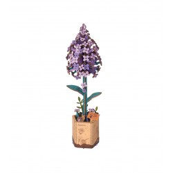 Lilac