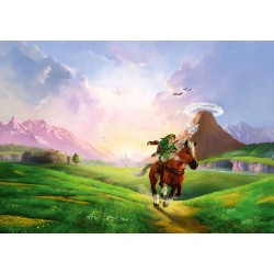 Legend of Zelda Puzzle...